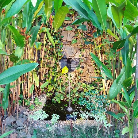 Rock Forest Goa Honeymoon Cottages Calangute Eksteriør bilde