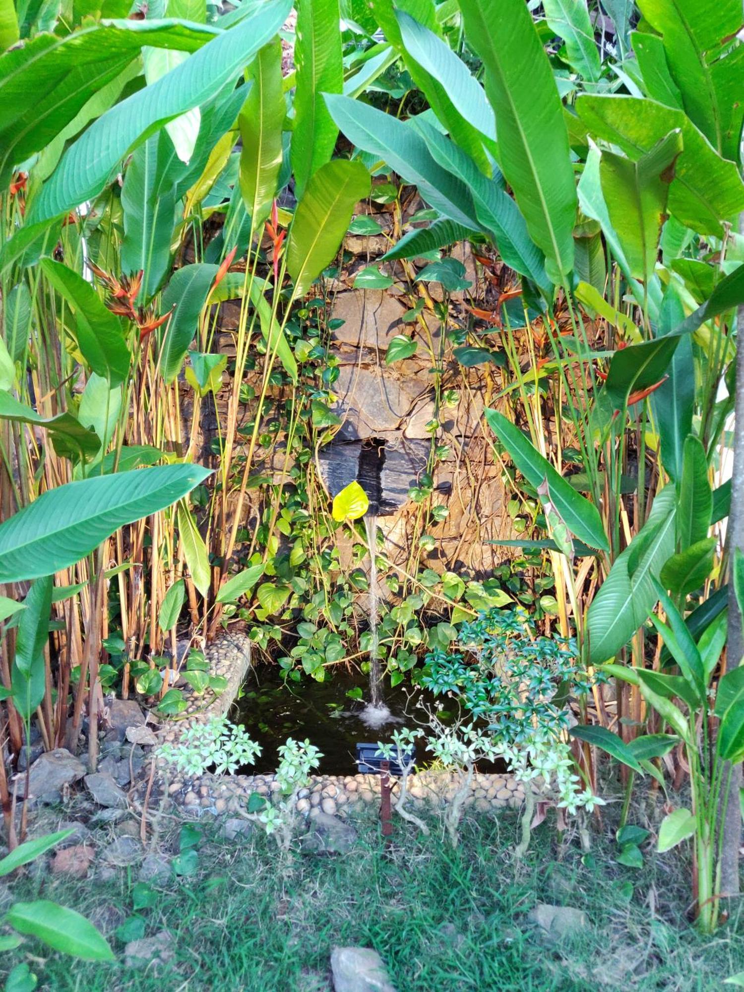 Rock Forest Goa Honeymoon Cottages Calangute Eksteriør bilde